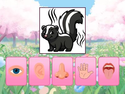 Duyularımızı Öğreniyoruz-2