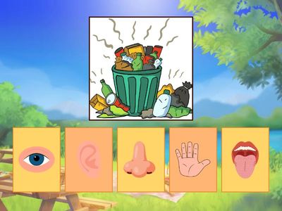 Duyularımızı Öğreniyoruz