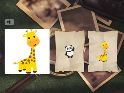 Farklı Olanı Bulalım