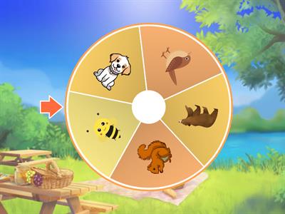 Yuvalarını Bulalım Çarkı