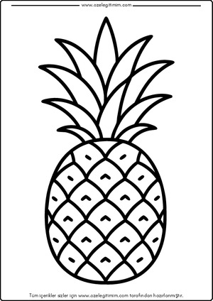 Ananas Boyama
